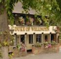 The Duke of Wellington