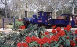 Exbury Gardens & Steam Railway, Southampton, Hampshire