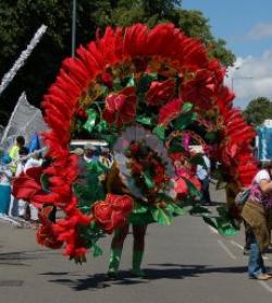 Wellingborough Carnival