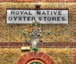 Whitstable Oysters