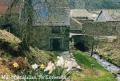 Cottages in Angus & Dundee