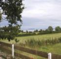 Ty Dderw Country Inn