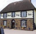 Black Dog Inn