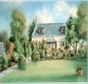 The Orchard