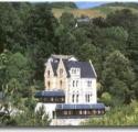 The Elmfield