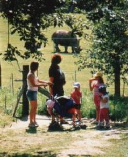 Marwell