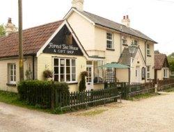 Forest Tea House B&B, Burley, Hampshire