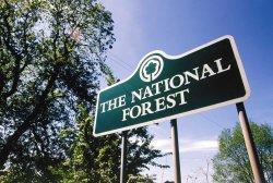 The National Forest, Swadlincote, Derbyshire