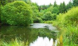 Blossom Hill Park, Honiton, Devon