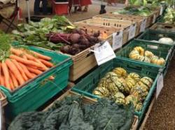 Horniman Farmers Market, Forest Hill, London