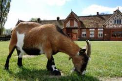 Lambley Village CC, Nottingham, Nottinghamshire