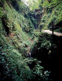 Shanklin Chine, Shanklin, Isle of Wight