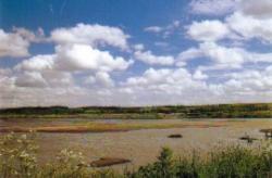 RSPB Titchwell Marsh Nature Reserve