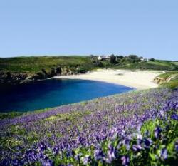 Mullion Holiday Park, Mullion, Cornwall