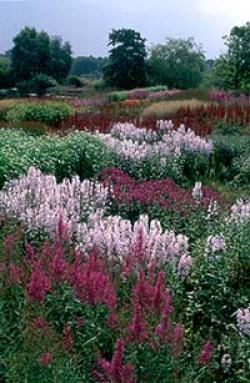 Pensthorpe Wildlife and Gardens, Fakenham, Norfolk