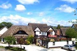 Alderney Stud Livery/Training, Liss, Hampshire