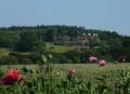 Three Chimneys Farm, Kent