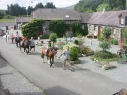 Gwern Borter Manor Holiday Farm, Rowen, North Wales