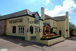 Barn Owl Inn, Kingskerswell, Devon