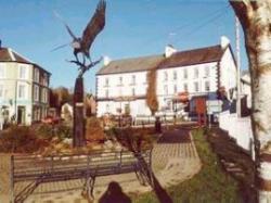 Neuadd Arms Hotel, Llanwrtyd Wells, Mid Wales