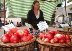 Stoke Newington Farmers Market, Stoke Newington, London