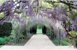 Hampton Court Gardens, Leominster, Herefordshire