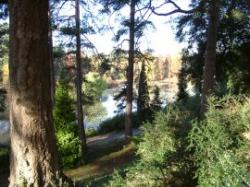 Bedgebury National Pinetum & Forest, Goudhurst, Kent