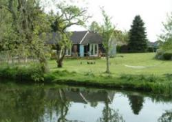 Garden Hideaway, Fordingbridge, Hampshire