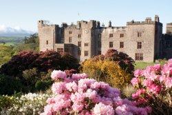 Muncaster Castle, Gardens & Owl Centre