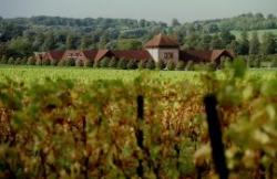 Denbies Wine Estate, Dorking, Surrey