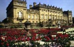 Harewood