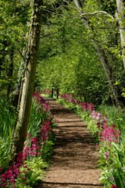 Fairhaven Woodland and Water Garden