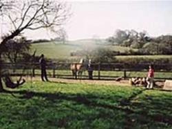 Cripple Creek Guest House, Rowlands Castle, Hampshire