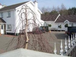 Rose Cottage Guest House, Tenby, West Wales