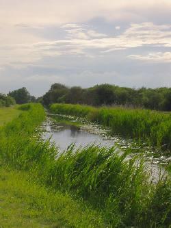 Wicken Fen National Nature Reserve, Ely, Cambridgeshire