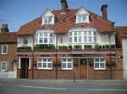 The Half Moon Inn, Ripley, Surrey