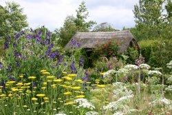 RHS Garden Rosemoor, Great Torrington, Devon