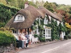 Mole Cottage Bed and Breakfast, South Molton, Devon