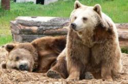 Camperdown Wildlife Centre, Dundee, Angus and Dundee