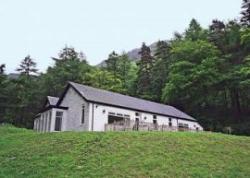 Cur at Loch Eck Cottages, Loch Eck, Argyll