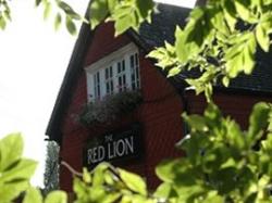 The Red Lion, Reigate, Surrey