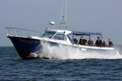 St Ives Boats