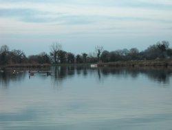 Broad Oak Trout Lakes