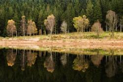 Sir Walter Scotts Trossachs, Stirlingshire