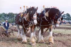 World Ploughing Contest