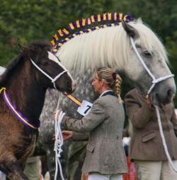 Woolsery Agricultural Show