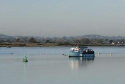 RSPB Mini Avocet Cruises