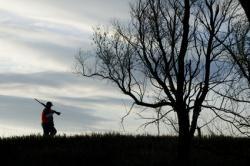 Grouse Shooting