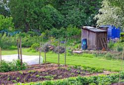 Allotments