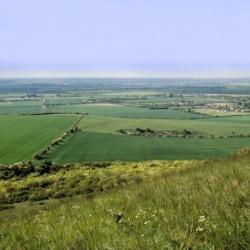 Dunstable Downs